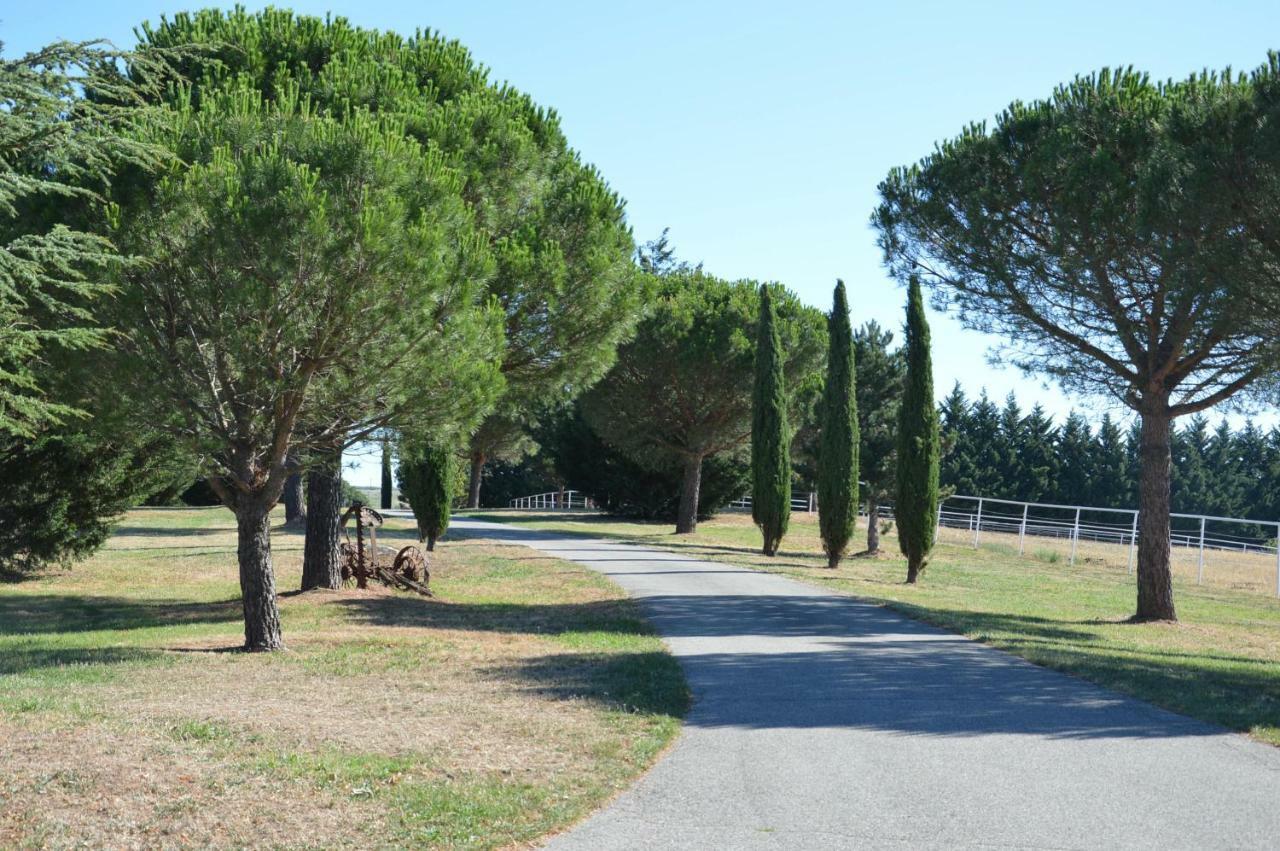 Les Hiboux Du Domaine Du Moulin Βίλα Etables  Εξωτερικό φωτογραφία